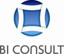 BI Consult представляет новое отраслевое решение для ретейлеров