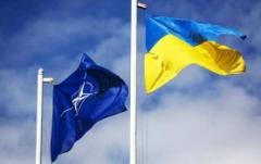 На соревнованиях лучших IТ-экспертов НАТО украинские команды заняли первые три места